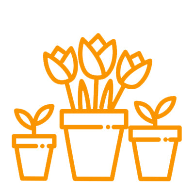 Live plants icon